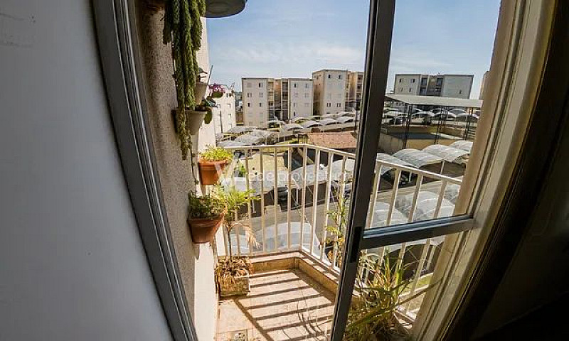 Apartamento - Jardim...