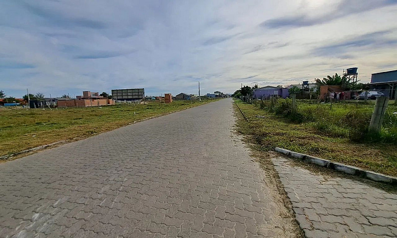 Oportunidade Única P...