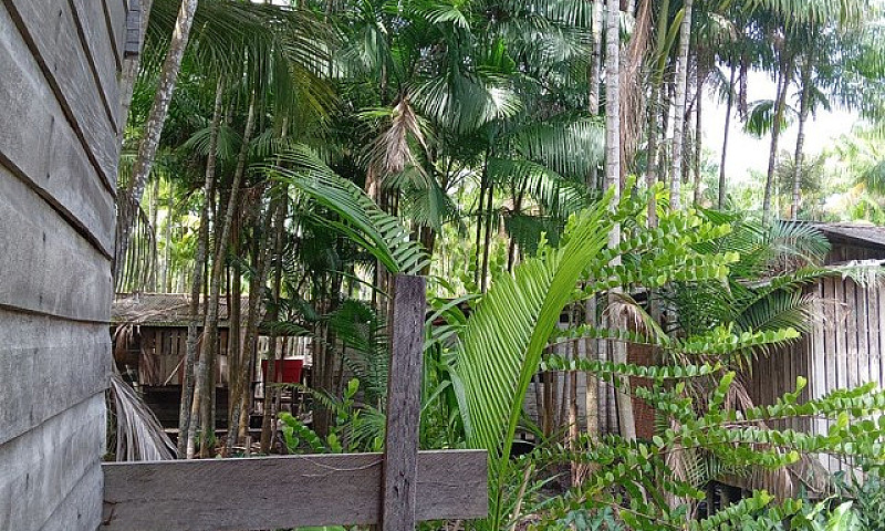 Casa ...
