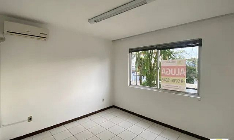 Alugo Apartamento Pa...