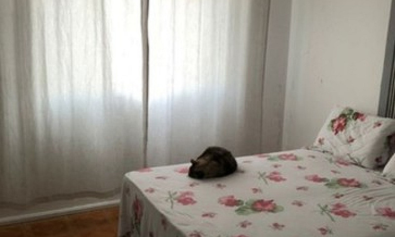 Ray- Vendo Casa ...