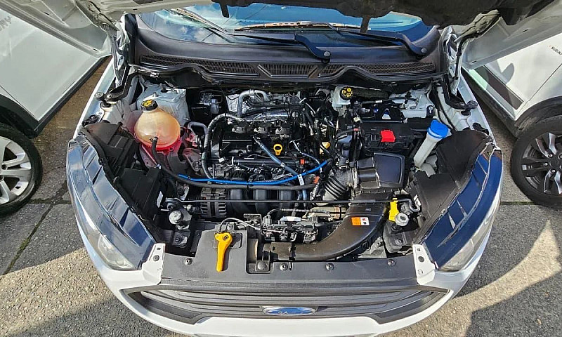 Ford Ecosport Freest...