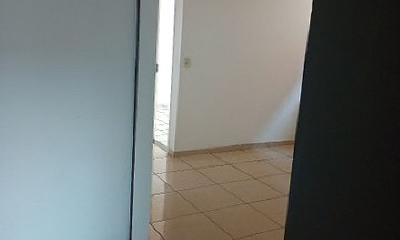 Aluguel Em Jardim Co...