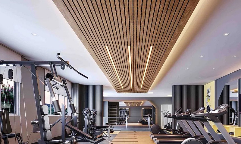 Mistral Patriani - A...