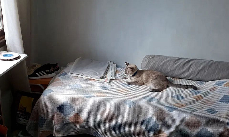 Casa Em São Francisc...