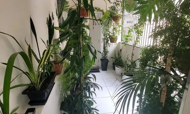 Casa Para Venda Poss...