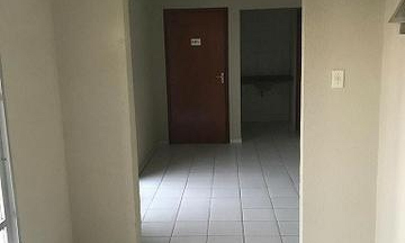 Apartamento No Jardi...