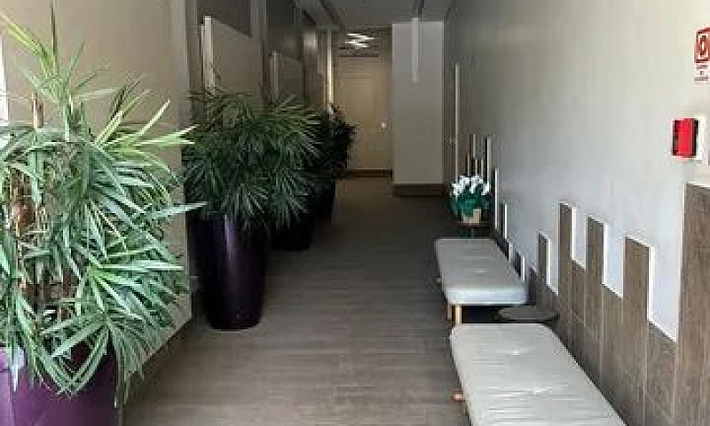Apartamento A Venda ...