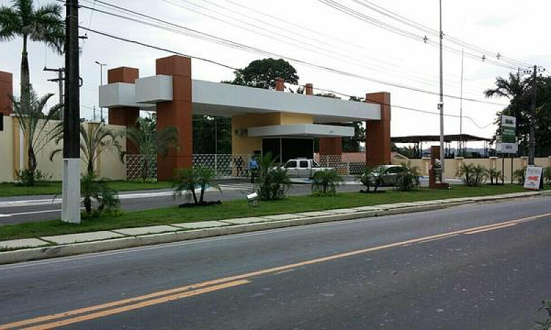 Nascentes Do Tarumã...