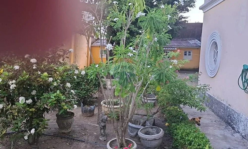 Alugo Lindo Casarão-...