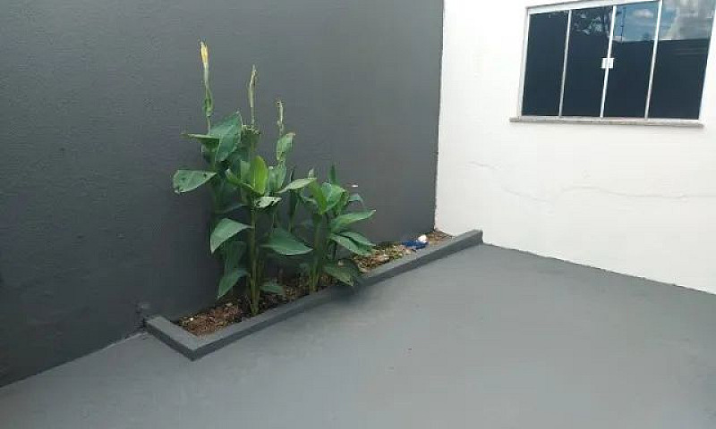 Aluguel Casa -  Nova...