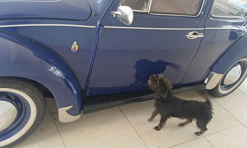 Volkswagen Fusca 130...