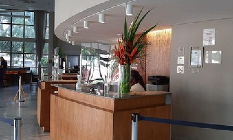 Flat De Luxo (Boa Vi...