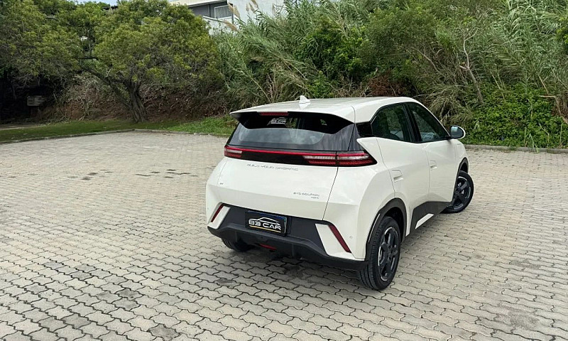 Byd Dolphin Plus (El...