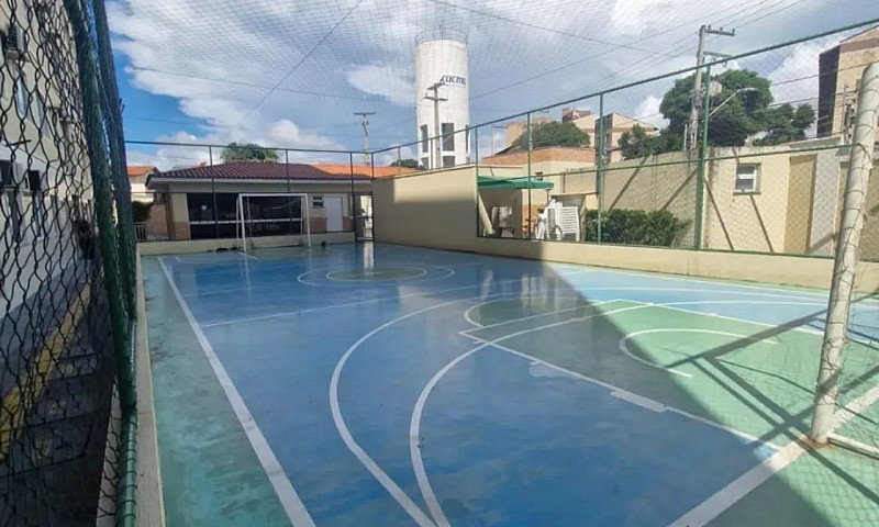 Aluguel Palmeiras Pr...