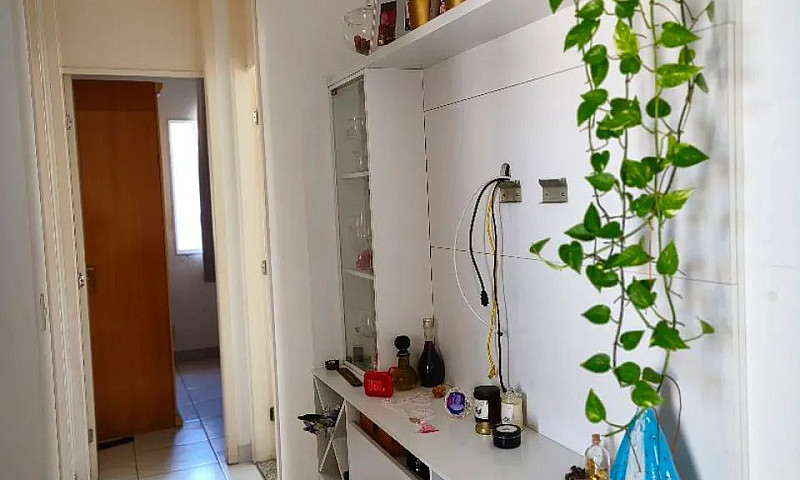 Aluguel De Apt -Mang...