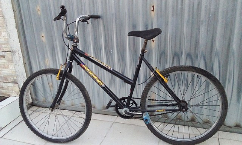 Vendo Bicicleta Femi...