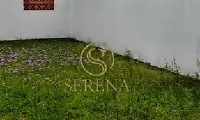 Duplex Para Venda Co...