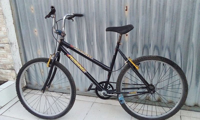 Vendo Bicicleta Femi...