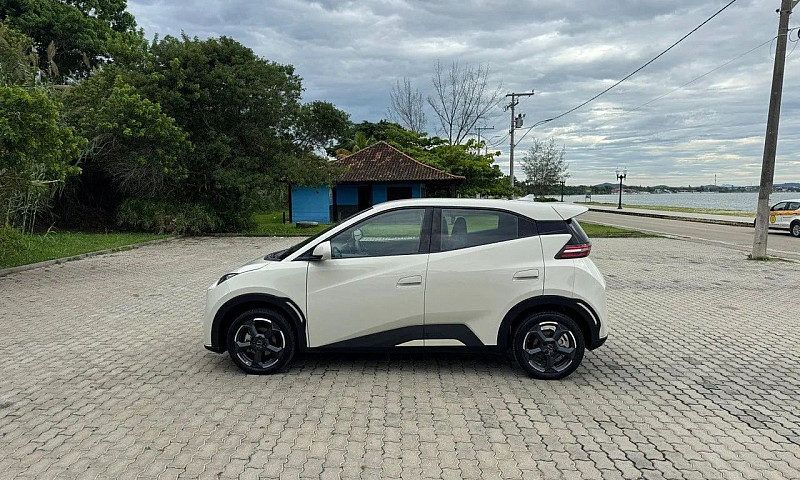 Byd Dolphin Plus (El...