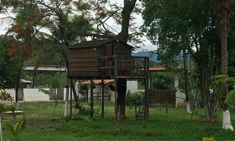 Lindo Sítio Em Papuc...