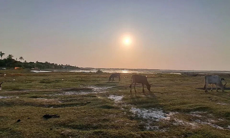 Casa Em Santo Amaro ...