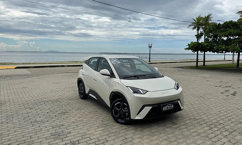 Byd Dolphin Plus (El...