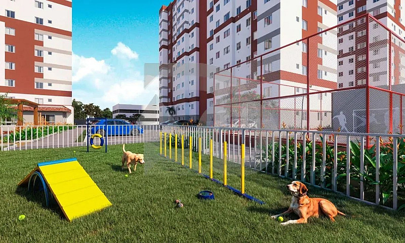 Pérolas Do Mar  Apar...