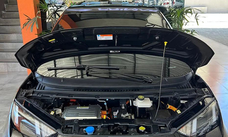 Byd Dolphin Mini (El...