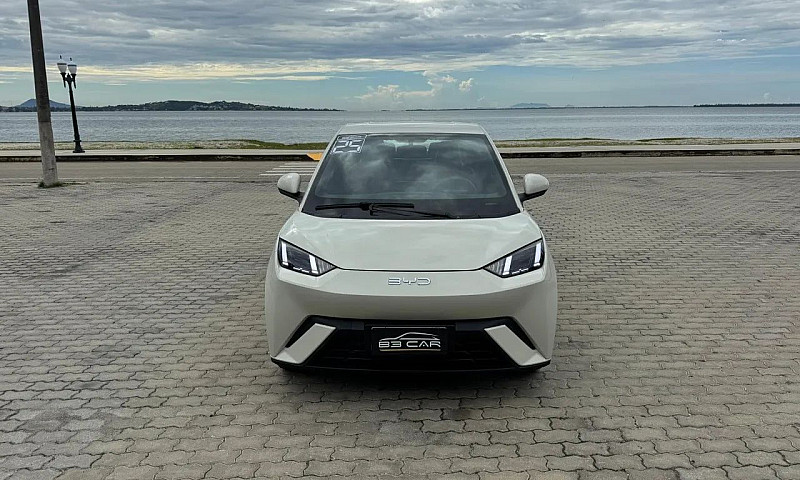 Byd Dolphin Plus (El...
