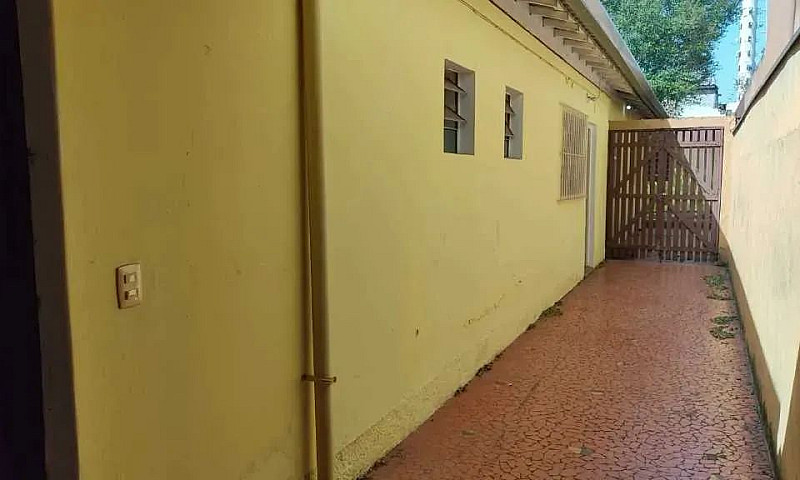 Casa Para Alugar No ...