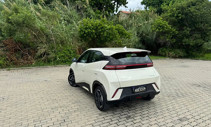 Byd Dolphin Plus (El...