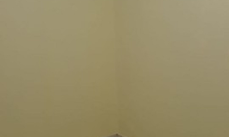 Apartamento De 1 Qua...