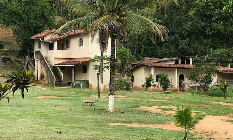 Lindo Sítio Em Papuc...