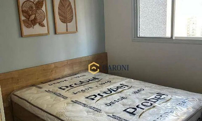 Apartamento Locação ...