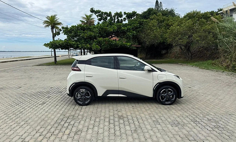 Byd Dolphin Plus (El...