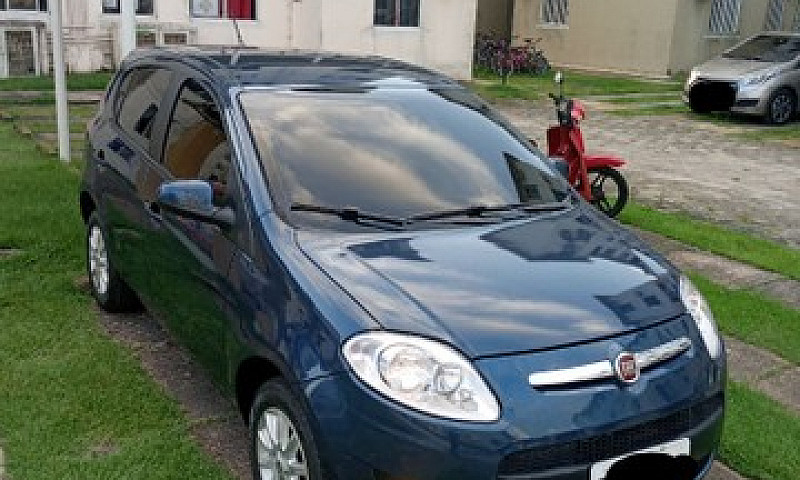 Palio Attractive 1.0...