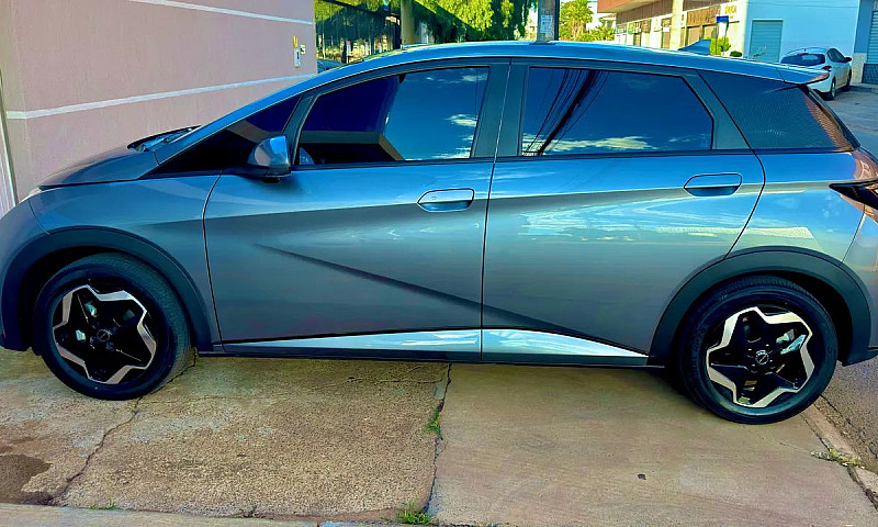 Byd Dolphin Ev (Elét...