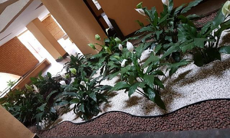 Lindo Apartamento Co...
