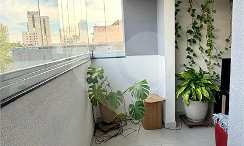 Apartamento Com 2 Qu...