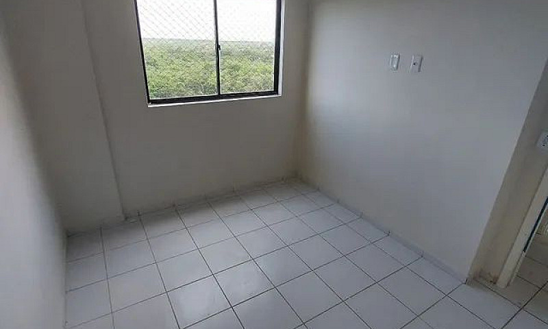 Apartamento Com Elev...