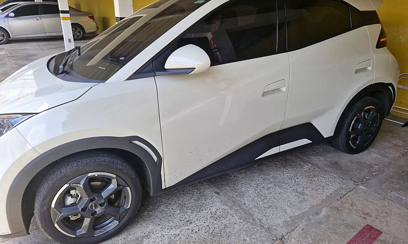 Byd Dolphin Mini (El...