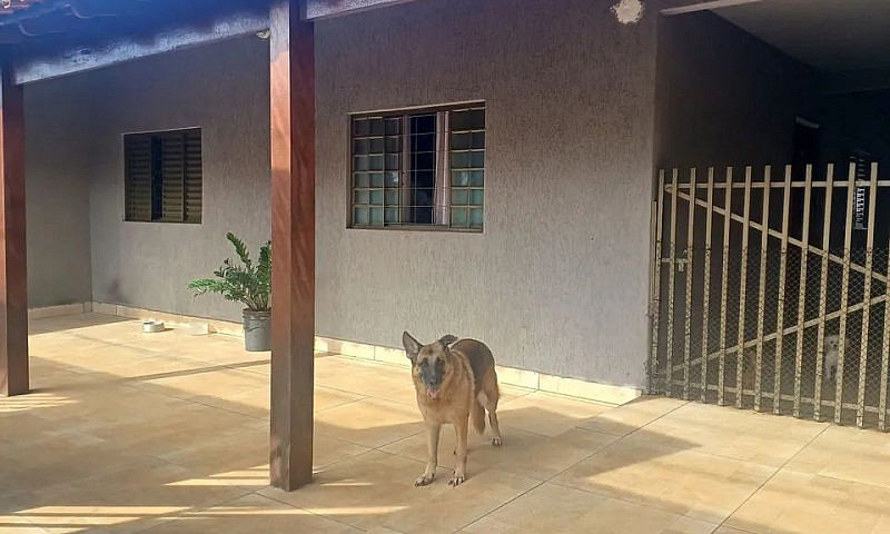 Casa A Venda No Jard...
