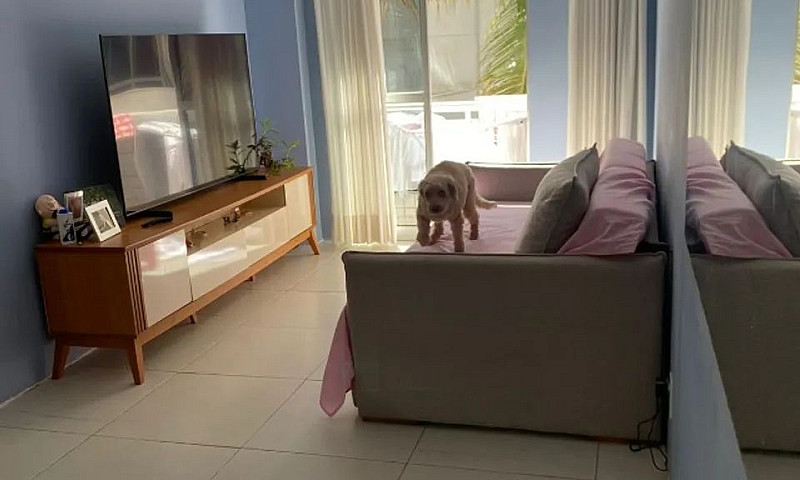 Apto Na Ituverava, 2...
