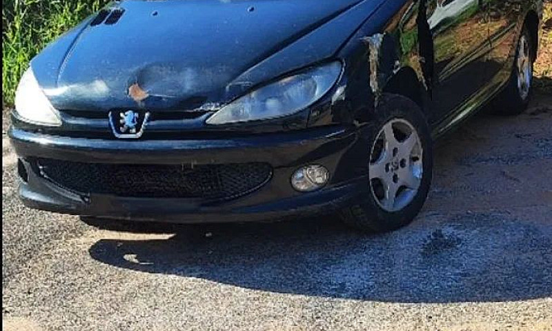 Peugeot 206 Sw Felin...