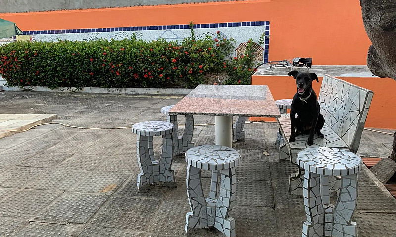 Casa Em Jacumã ...