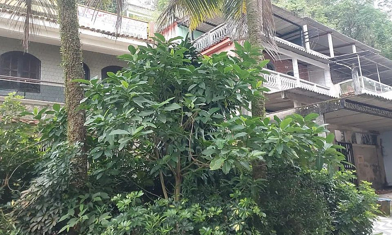 Vendo Casa + Apto + ...