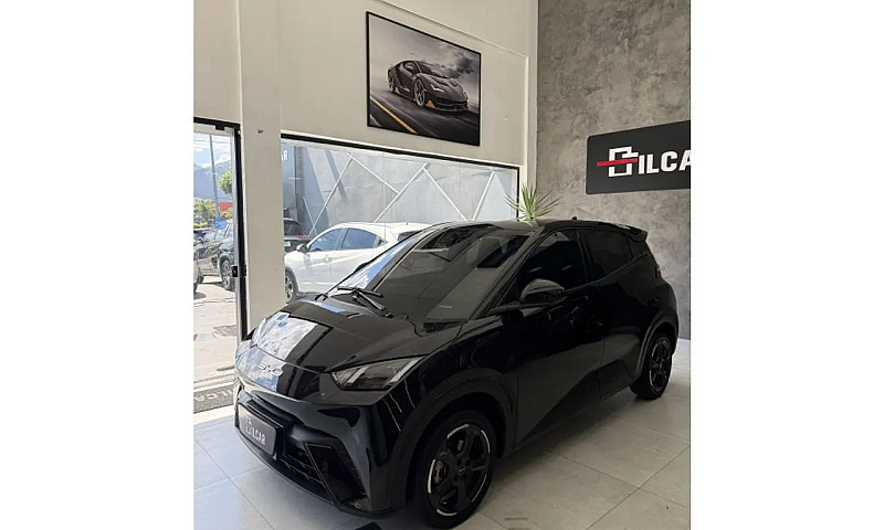 Byd Dolphin Mini (El...