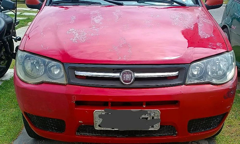 Palio Fire  2007 1.0...