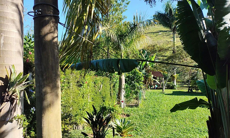 Linda Granja Em Mati...